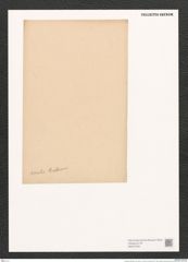Surirella ovalis Breb. (de-Toni-Nr.: Genus 53, Species 2271) Zeichnungen Sammlung Grunow (NHMW-BOT-W0372783)